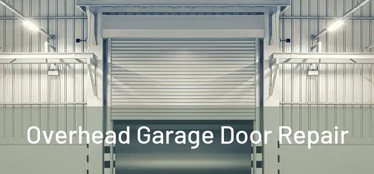 Overhead Garage Door Repair 